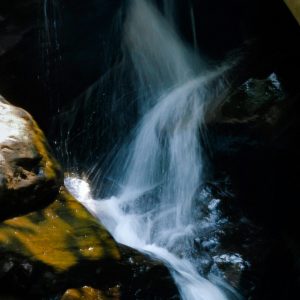 pexels-nandhukumar-1050604