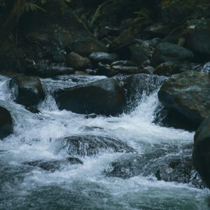 pexels-rajesh-r-kunjumon-2260391-4198186